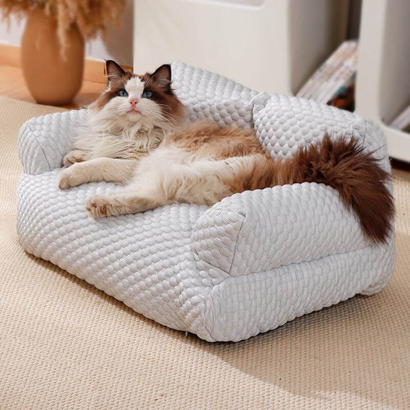 Sofa-Style Dog Bed with Temperature-Regulating Fabric for Summer Comfort | Thomler