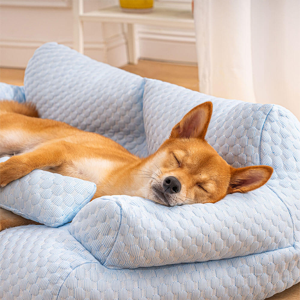 Sofa-Style Dog Bed with Temperature-Regulating Fabric for Summer Comfort | Thomler