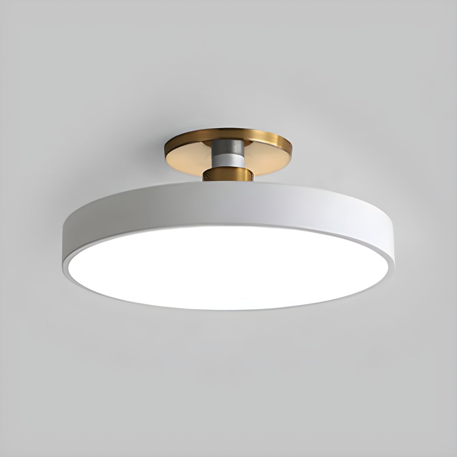 Metal Flush Mount Ceiling Light 11.8 in Warm Ambient Indoor Dining Living Room Office LED | Thomler