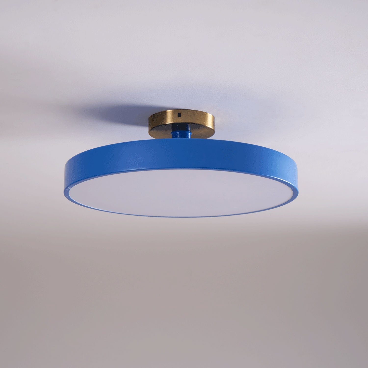 Metal Flush Mount Ceiling Light 11.8 in Warm Ambient Indoor Dining Living Room Office LED | Thomler