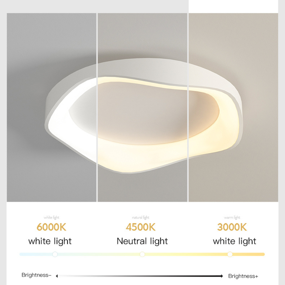 Ceiling Lamp Iron Acrylic 40.0 cm Dimmable Remote Control Bedroom Living Room LED Light Fixture | Thomler