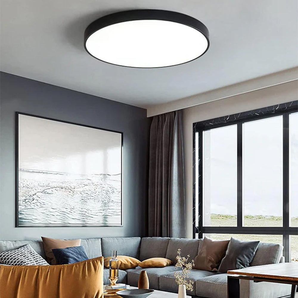 Ceiling Light Acrylic Extra-Thin 15.8 in Indoor Modern Circular LED Lighting Bedroom Dining Room Living Room | Thomler