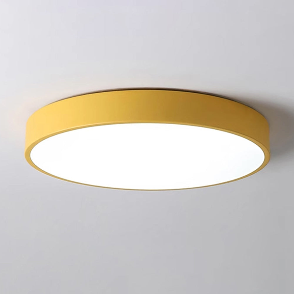 Ceiling Light Acrylic LED 22.0 cm 60.0 cm Nordic Living Room Bedroom Flush Mount Dimmable Round Lamp | Thomler