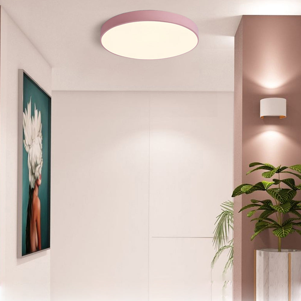 Ceiling Light Acrylic LED 22.0 cm 60.0 cm Nordic Living Room Bedroom Flush Mount Dimmable Round Lamp | Thomler