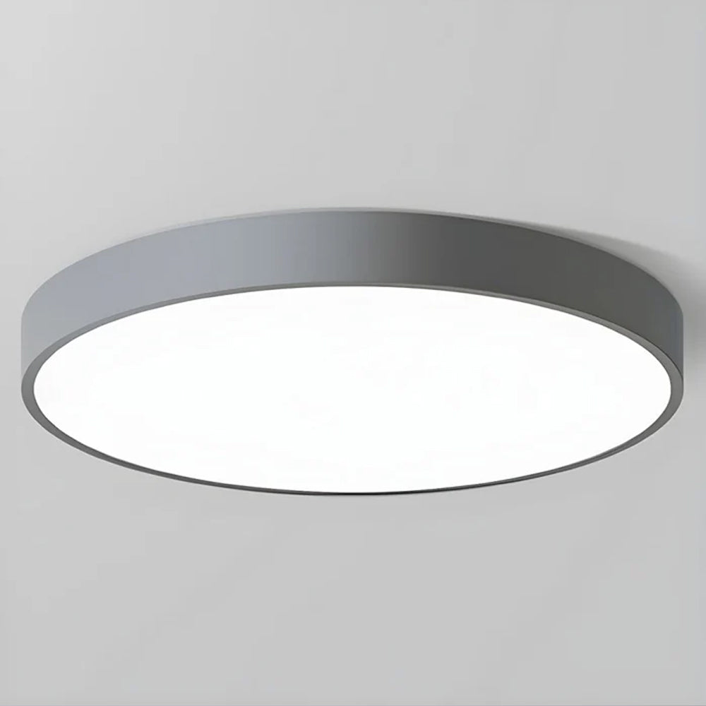 Ceiling Light Acrylic LED 22.0 cm 60.0 cm Nordic Living Room Bedroom Flush Mount Dimmable Round Lamp | Thomler