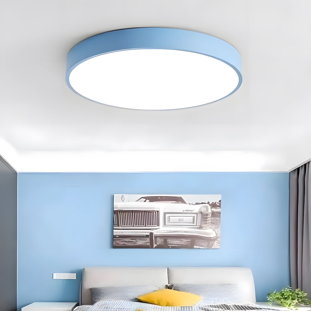 Ceiling Light Acrylic LED 22.0 cm 60.0 cm Nordic Living Room Bedroom Flush Mount Dimmable Round Lamp | Thomler