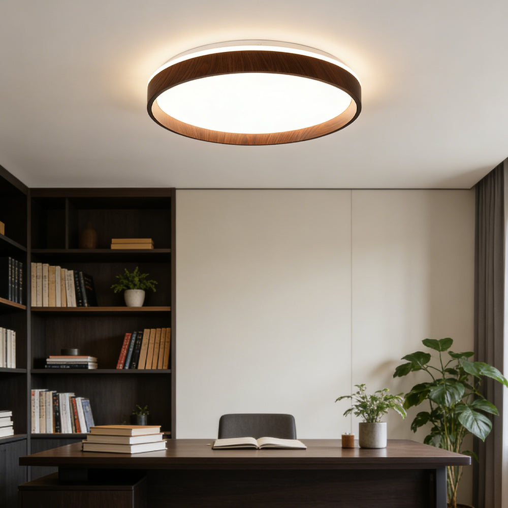 Ceiling Light Acrylic Round 15.7 in 2.8 in Indoor Bedroom Living Room LED Modern Minimalist Flush Mount Fixture | Thomler