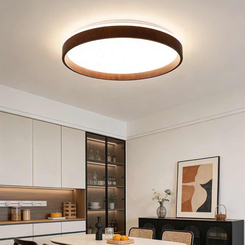 Ceiling Light Acrylic Round 15.7 in 2.8 in Indoor Bedroom Living Room LED Modern Minimalist Flush Mount Fixture | Thomler