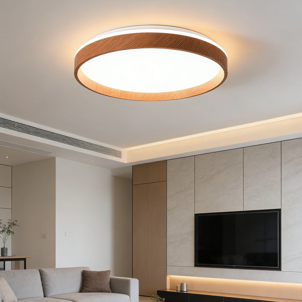 Ceiling Light Acrylic Round 15.7 in 2.8 in Indoor Bedroom Living Room LED Modern Minimalist Flush Mount Fixture | Thomler