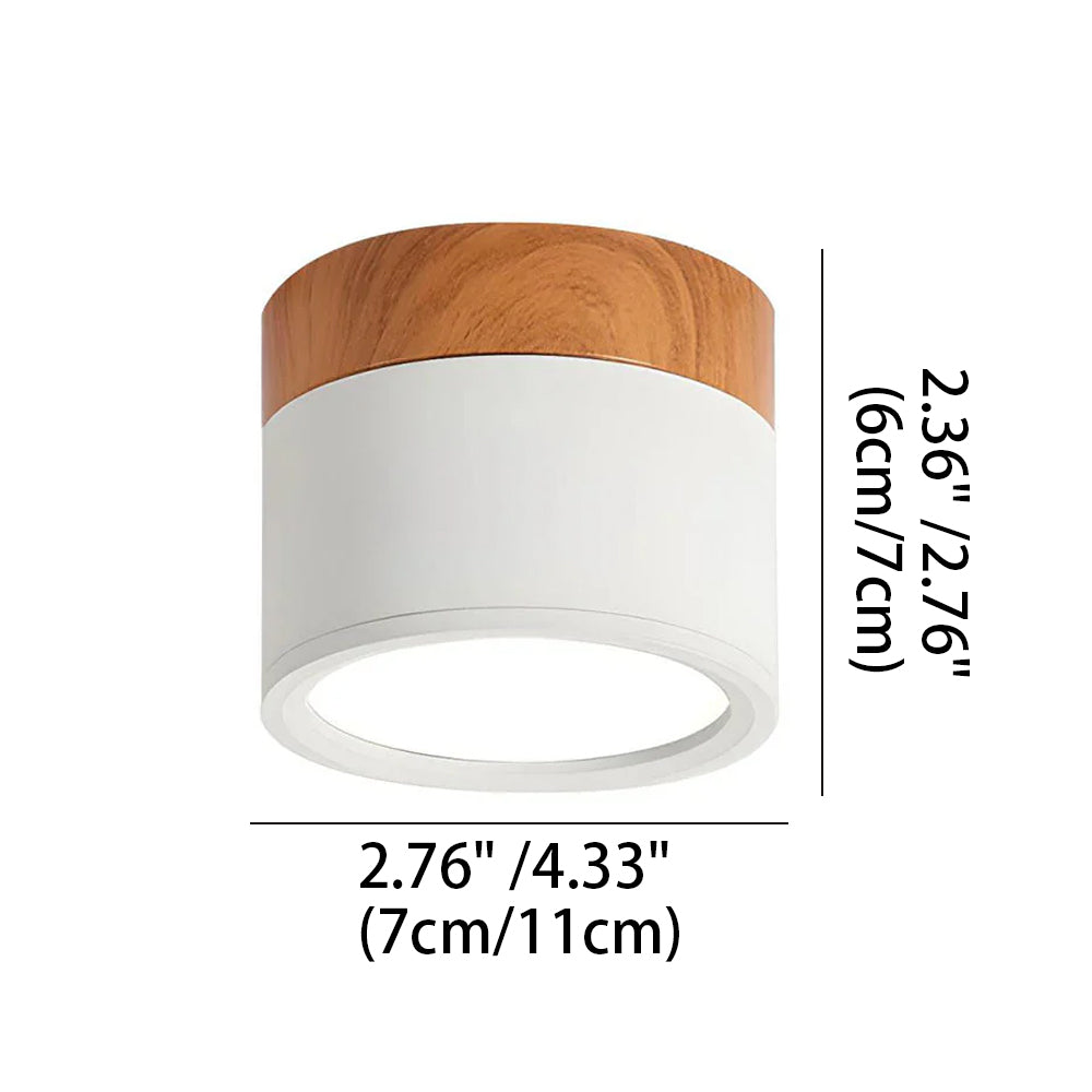 Ceiling Light Aluminum Mini Cylinder 2.8 in x 2.4 in Indoor Hallway Living Room Bedroom Modern Lighting | Thomler