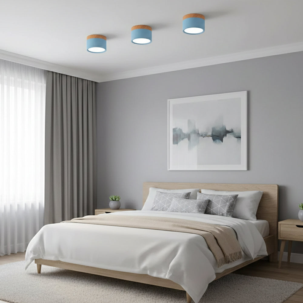 Ceiling Light Aluminum Mini Cylinder 2.8 in x 2.4 in Indoor Hallway Living Room Bedroom Modern Lighting | Thomler