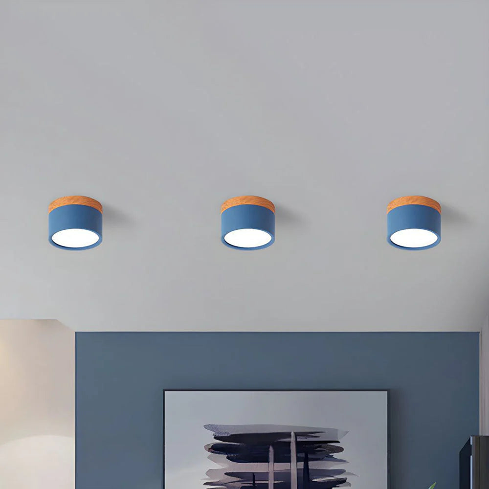 Ceiling Light Aluminum Mini Cylinder 2.8 in x 2.4 in Indoor Hallway Living Room Bedroom Modern Lighting | Thomler