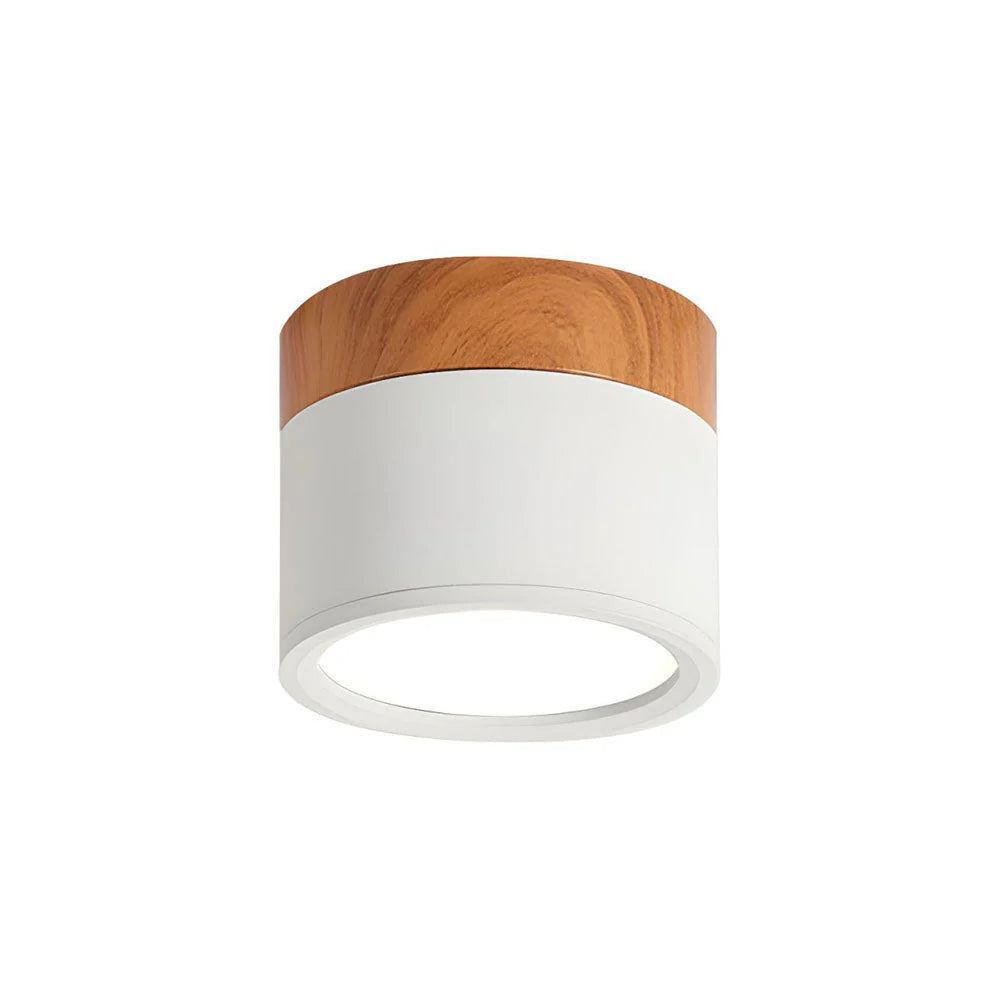 Ceiling Light Aluminum Mini Cylinder 2.8 in x 2.4 in Indoor Hallway Living Room Bedroom Modern Lighting | Thomler