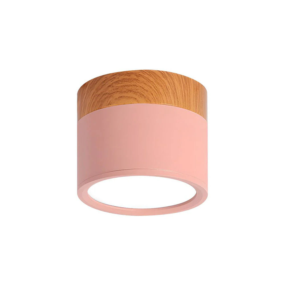 Ceiling Light Aluminum Mini Cylinder 2.8 in x 2.4 in Indoor Hallway Living Room Bedroom Modern Lighting | Thomler