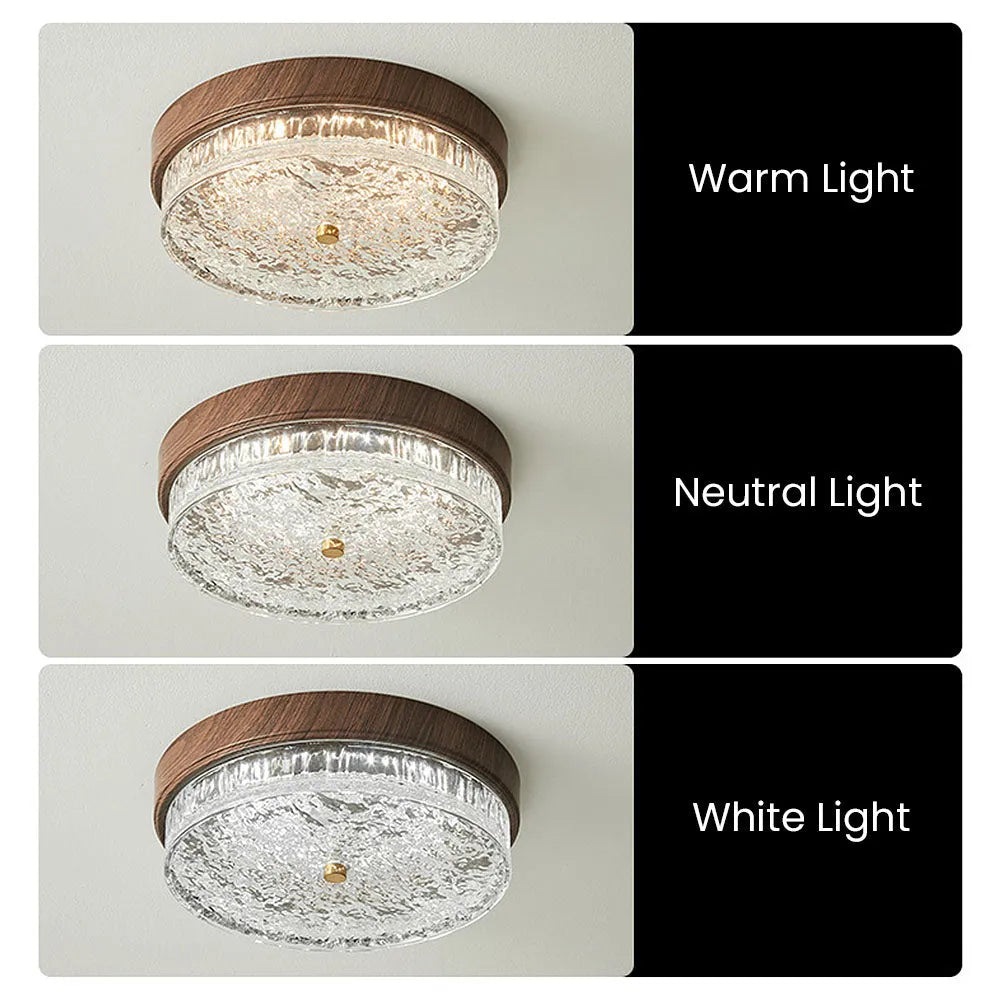 Ceiling Light Glass LED 12.6 in Indoor Bedroom Living Room Dining Room Modern Fixture | Thomler