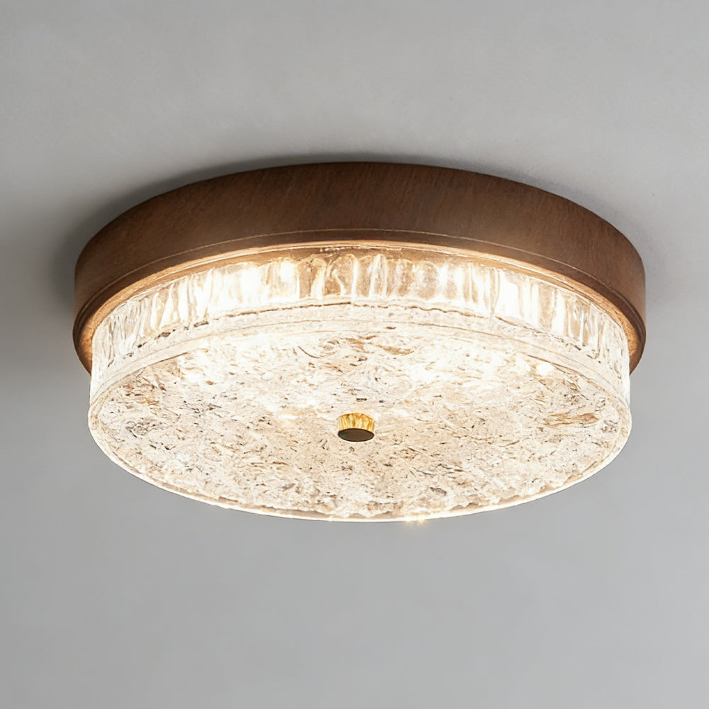 Ceiling Light Glass LED 12.6 in Indoor Bedroom Living Room Dining Room Modern Fixture | Thomler