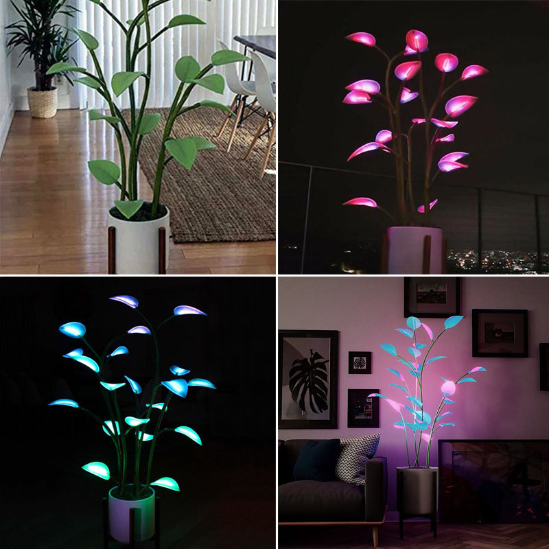 Color-Changing LED Plant Night Light for Bedroom, Living Room & Office – USB Powered Decorative Botanical Lamp with Auto Cycle Lighting | Thomler
