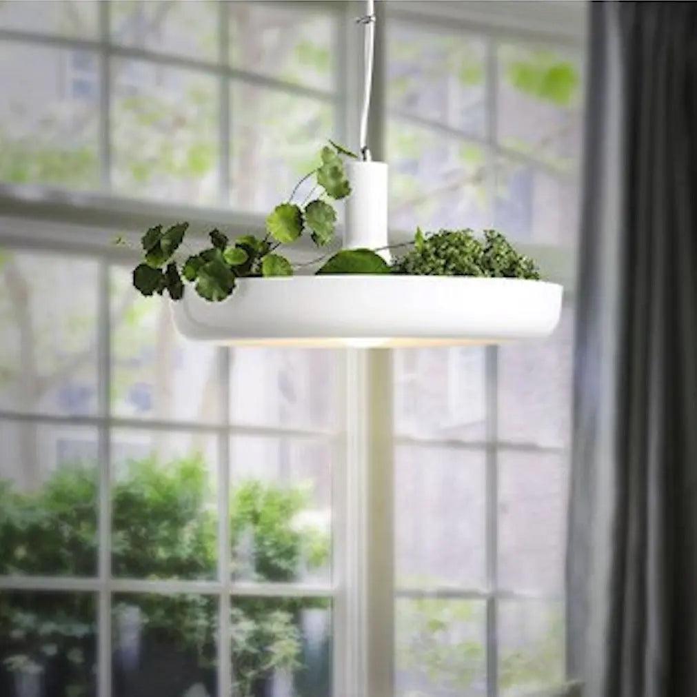 Hanging Planter Light with Built-In Pot for Indoor Plants, Succulents & Herbs, Modern Pendant Ceiling Fixture for Kitchen, Living Room & Din | Thomler