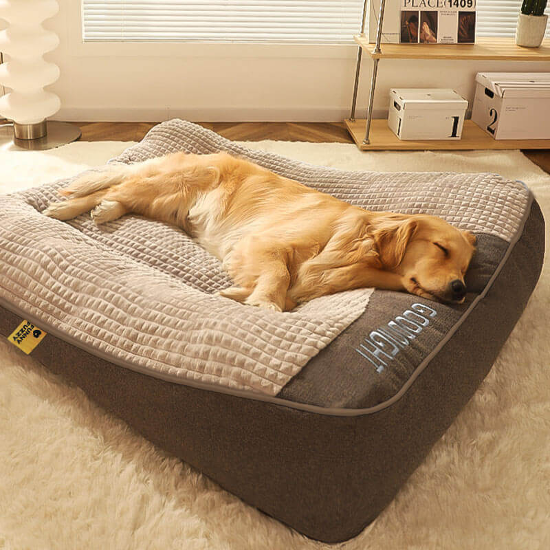 Orthopedic Dog Bed with Spine Support & Non-Slip Base for Large Breeds, Senior Dogs, Joint Relief | Thomler