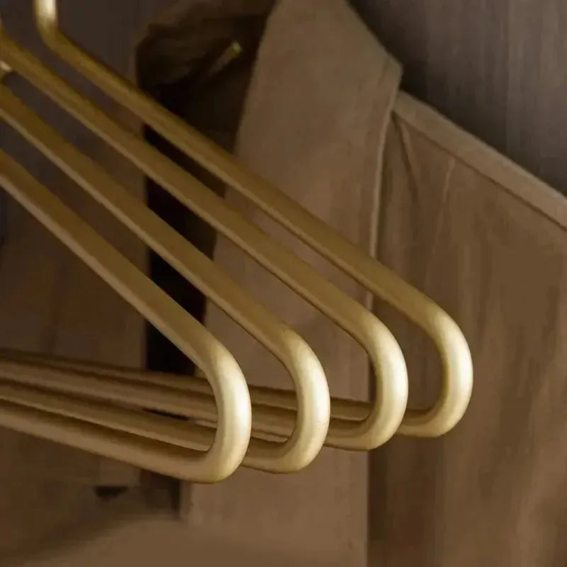 Clothes Hangers Metal 42.0 cm 16.5" Matte Gold Silver Wardrobe Storage Heavy Duty Suit Coat Closet Organiser Set | Thomler