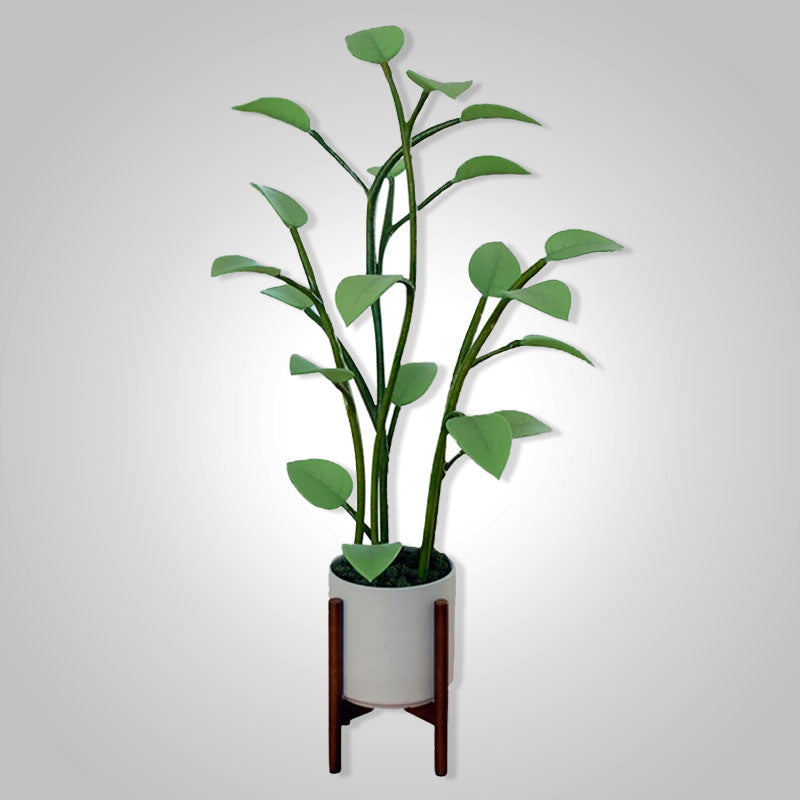 Color-Changing LED Plant Night Light for Bedroom, Living Room & Office – USB Powered Decorative Botanical Lamp with Auto Cycle Lighting | Thomler