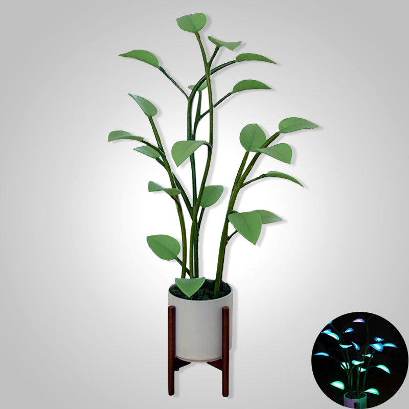 Color-Changing LED Plant Night Light for Bedroom, Living Room & Office – USB Powered Decorative Botanical Lamp with Auto Cycle Lighting | Thomler