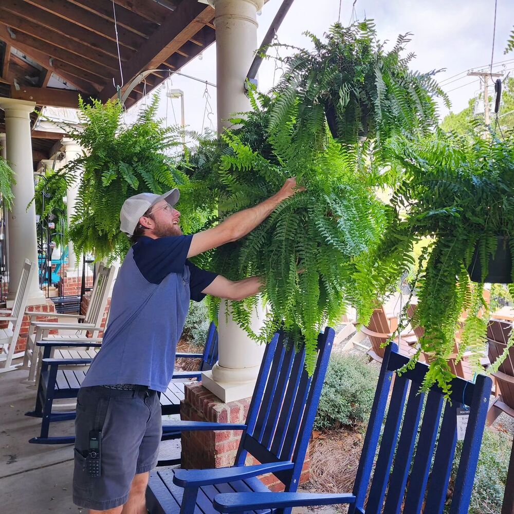 Hanging Faux Fern Plant Set – UV-Proof Outdoor Greenery 18-Piece Waterproof Vine Bundle for Patio Pergola Fence Garden Porch Decor Indoor | Thomler