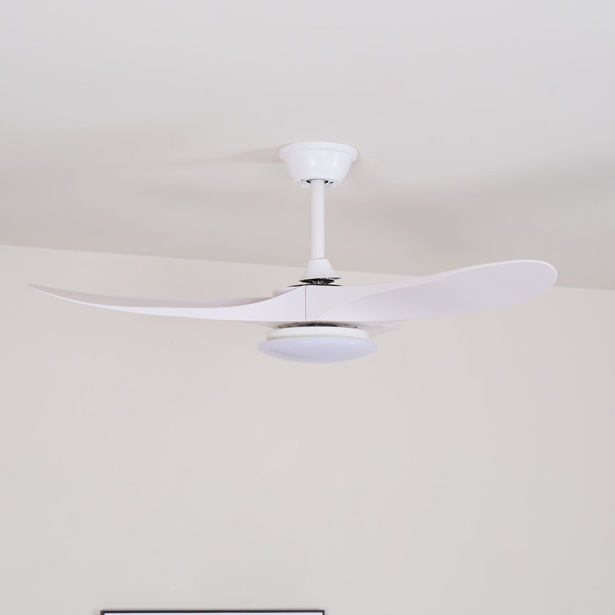42 & 52 Inch Ceiling Fan with LED Light and Remote – 6-Speed Hardwired Ventilator for Bedroom and Living Room | Thomler