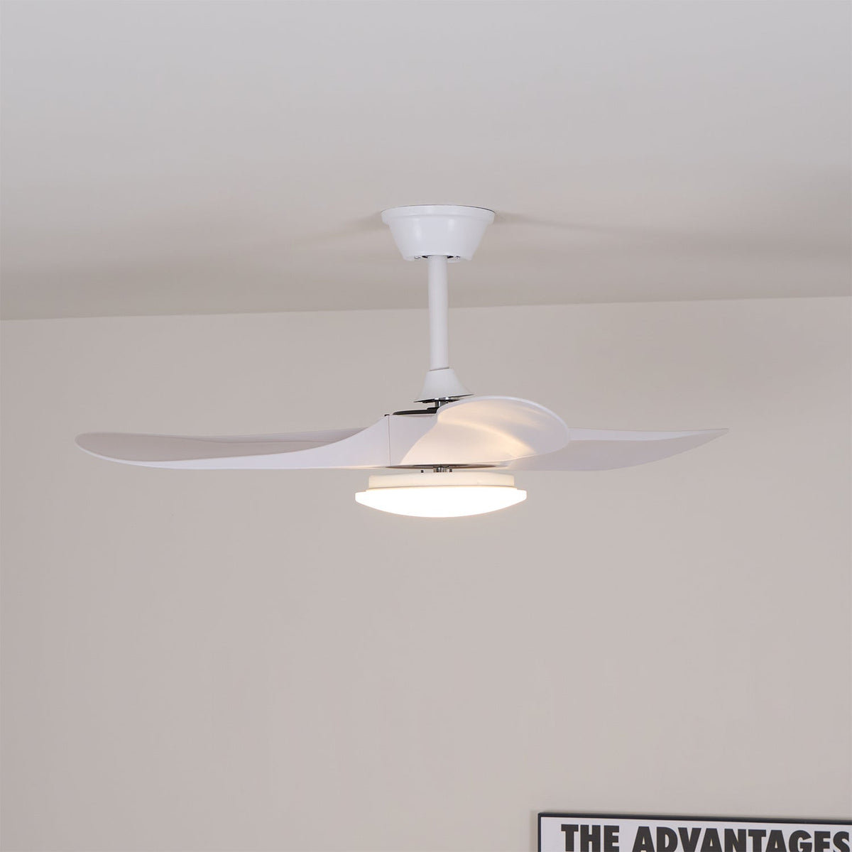 42 & 52 Inch Ceiling Fan with LED Light and Remote – 6-Speed Hardwired Ventilator for Bedroom and Living Room | Thomler