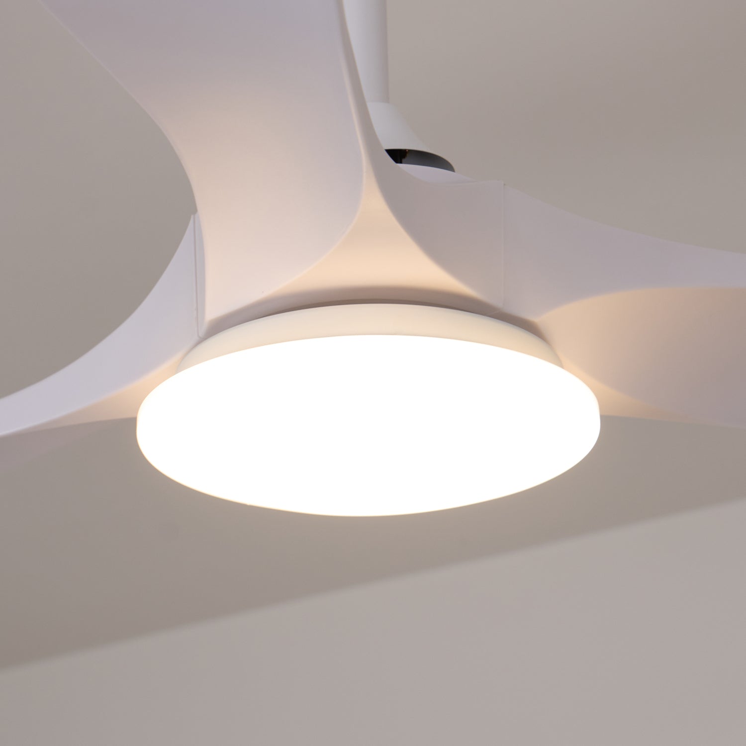 Wooden Ceiling Fan Light 42 in 52 in Adjustable Indoor AC 110–120V Modern Living Room Bedroom | Thomler