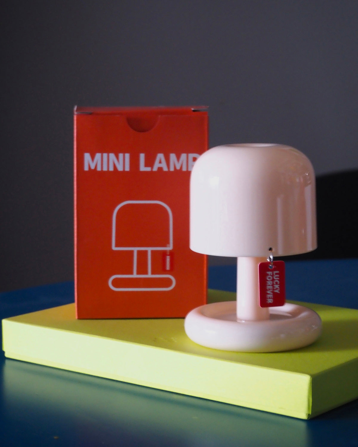 Table Lamp Acrylic 4.1 in Warm White LED Milky White Bedside Desk Light Compact Minimalist | Thomler