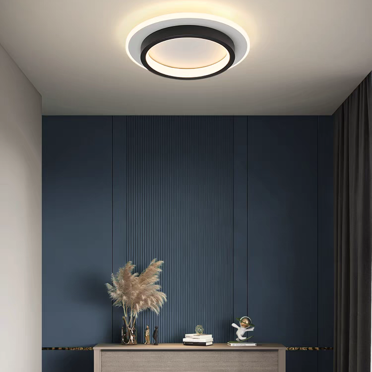 Round Flush Mount LED Ceiling Light 8 in or 9 in Dimmable Iron Acrylic for Bedroom Hallway Kitchen Bathroom Modern Low Profile Fixture | Thomler