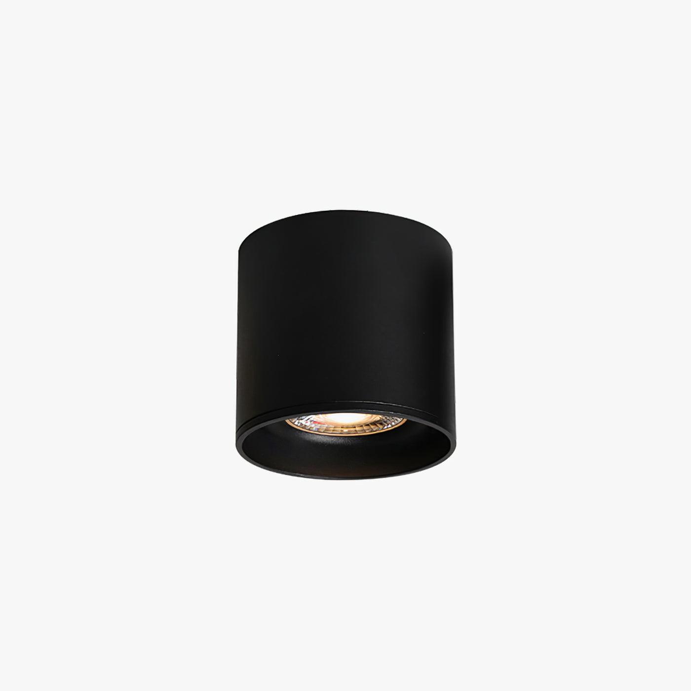 Metal Ceiling Light 3.1 in x 3.3 in White Indoor Modern Flush Mount LED Fixture Warm Neutral Cool | Thomler
