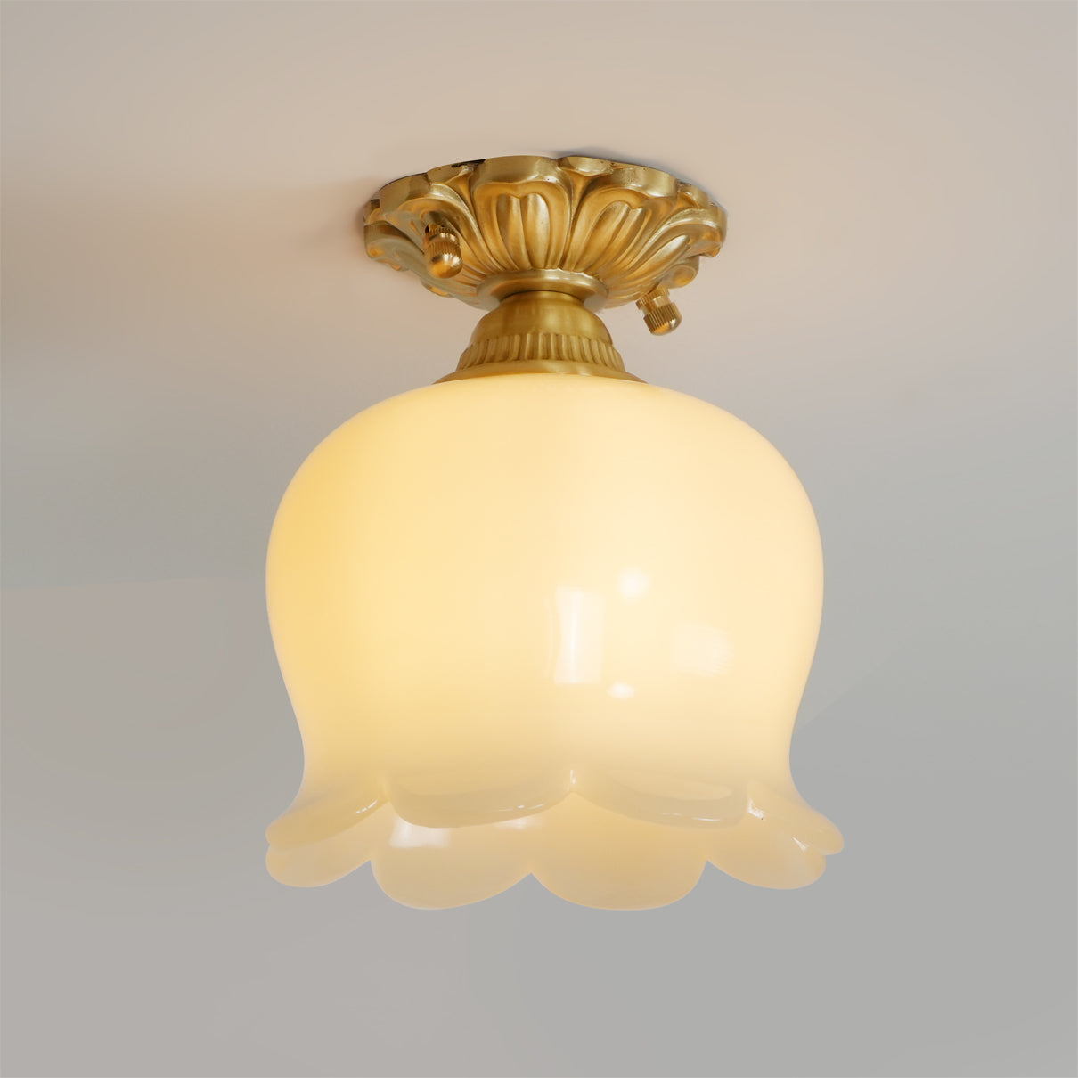 Ceiling Light Resin Brass 5.9 in Indoor Warm Lighting | Thomler