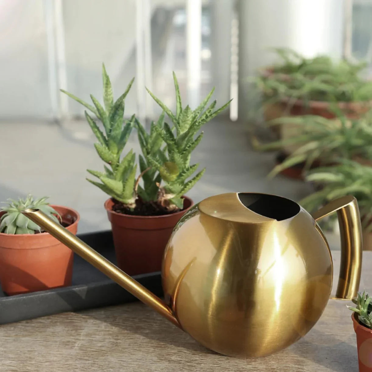 Watering Can Stainless Steel 11 in Indoor Plant Care Precise Pouring Home Garden Tool Durable Minimalist Design | Thomler