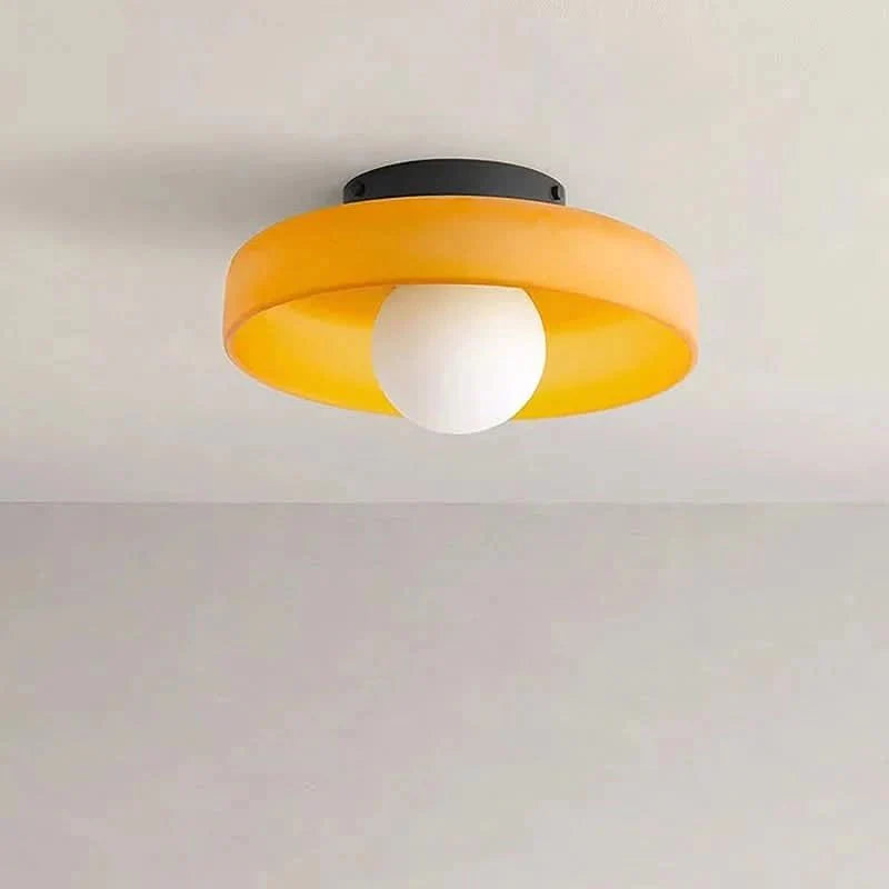 Ceiling Light Glass Shade 12 in Modern Kitchen Living Room Bedroom LED Fixture | Thomler