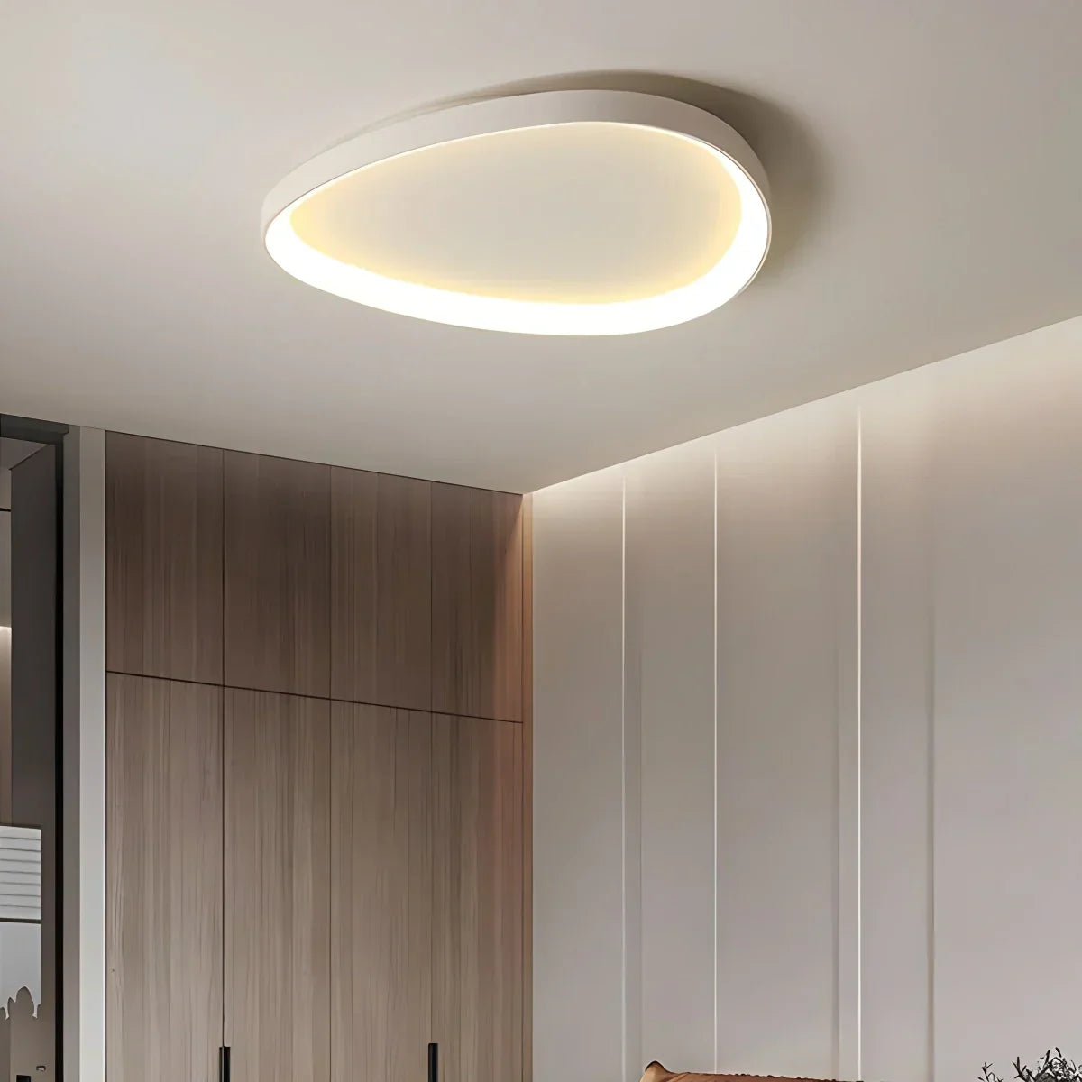 Ceiling Light Metal Oval 60.0 cm Dimmable LED Bedroom Hallway Living Room Adjustable Light Colours | Thomler