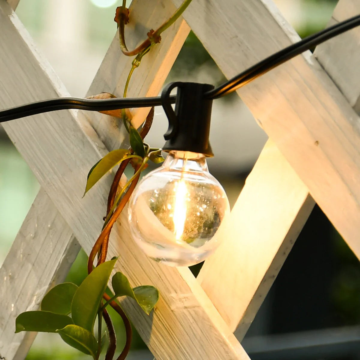 Solar-Powered Outdoor String Lights for Patio, Yard & Deck – Weather-Resistant LED Ambience for Garden Parties, Backyard Dining | Thomler