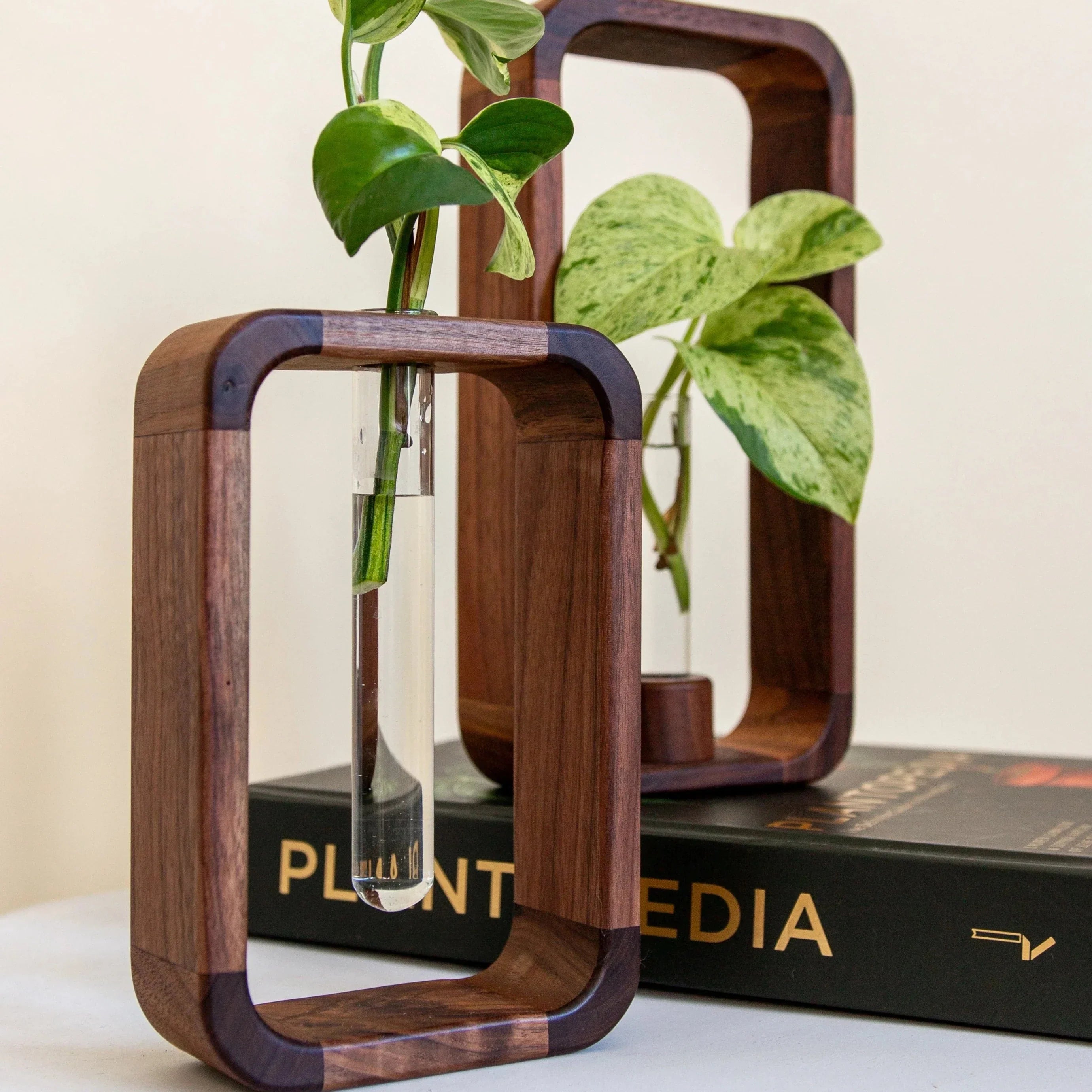 Plant Propagator Glass and Wood 10 in Indoor Gardening Medium Large Hydroponic Vase | Thomler