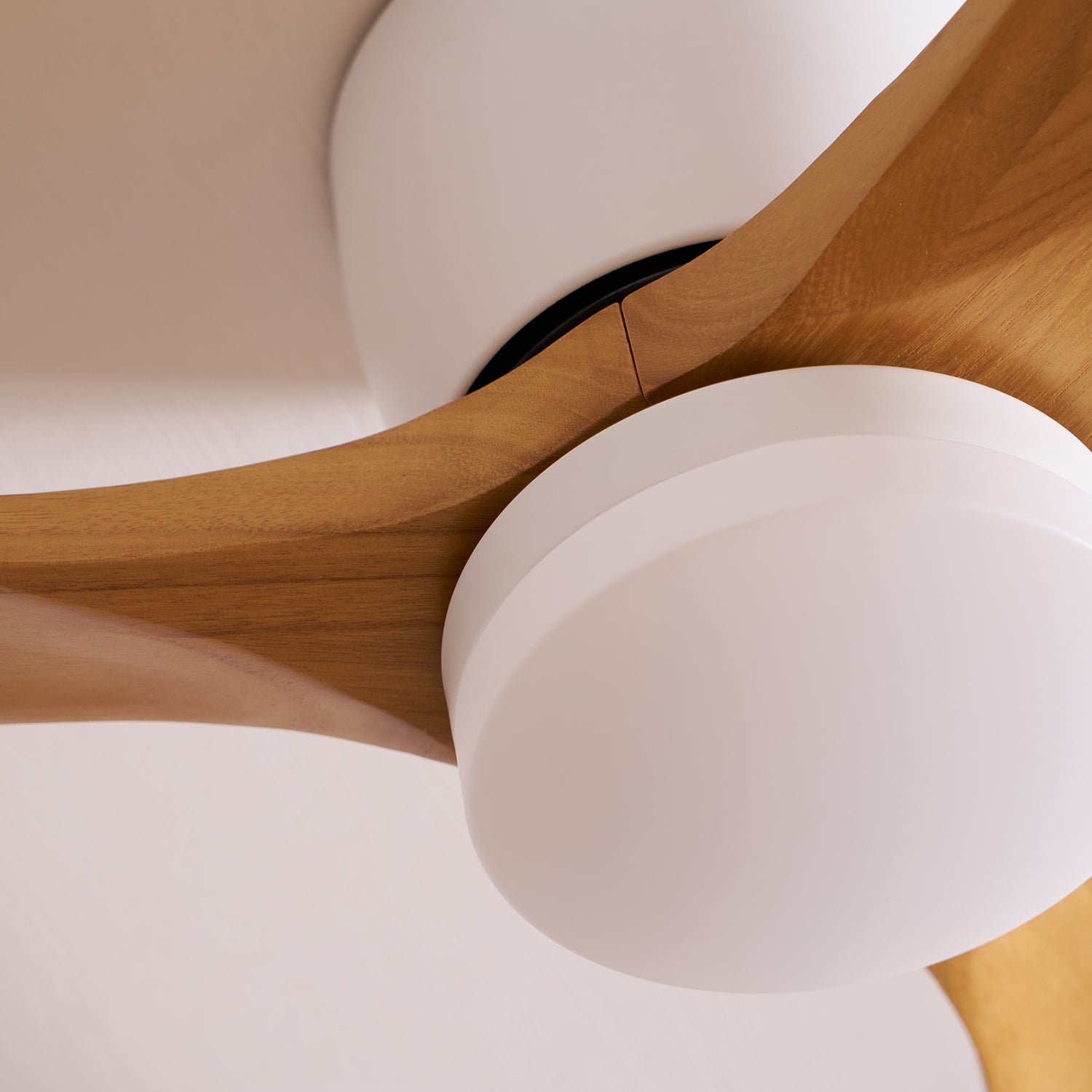 Nordic Ceiling Fan Light 42 in Solid Wood Blades LED Bedroom Living Room Quiet DC Motor Modern Ceiling Fan | Thomler