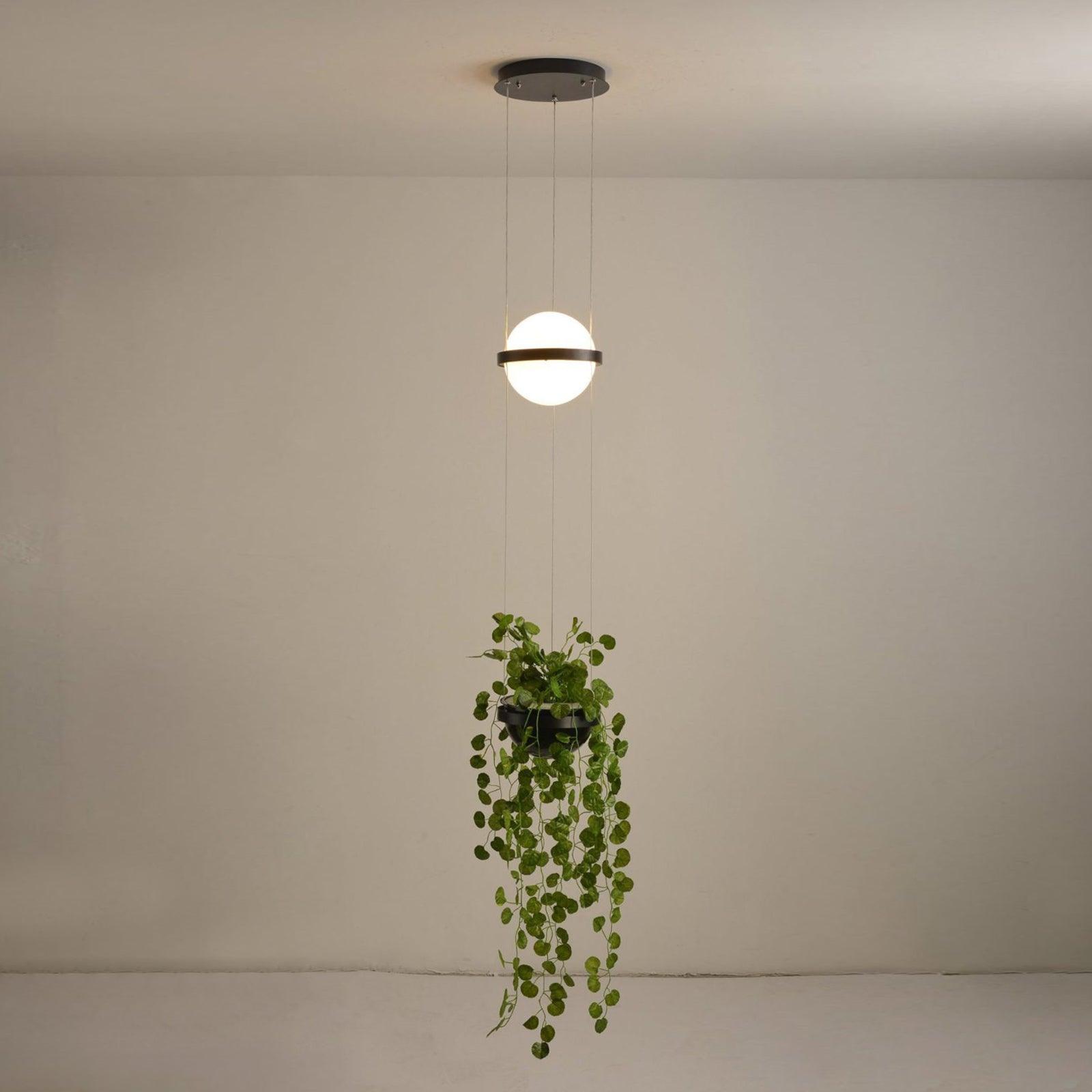 Spherical LED Hanging Fixture for Kitchen Island & Dining Area – Adjustable Height Black Metal Pendant with Dual-Tone Lighting, 8.7 in Acryl | Thomler
