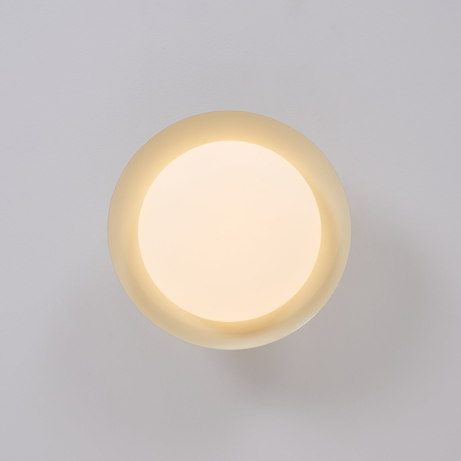 Ceiling Light Metal Dome 9.8 in LED Green Brown Bathroom Kitchen Flush Mount Fixture | Thomler