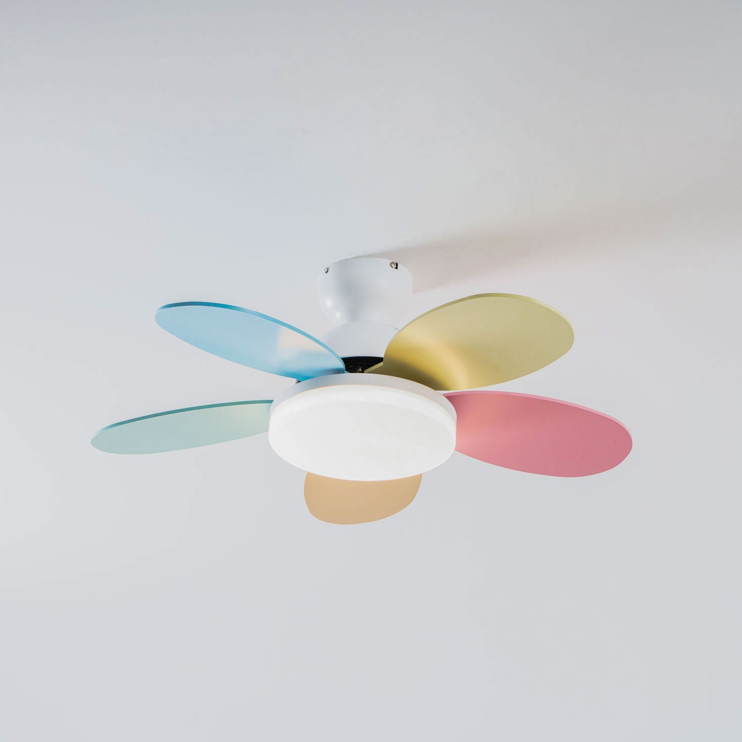 Ceiling Fan Light 35.4 in Wood Blades Grey Indoor Living Room Modern LED Lighting | Thomler