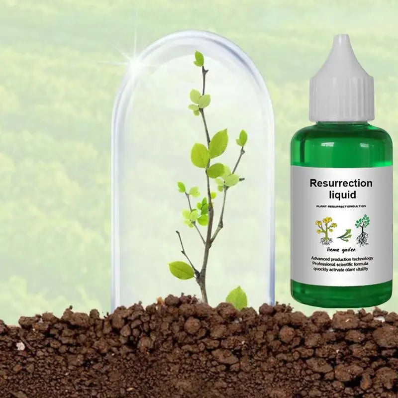 Flüssiger Pflanzen- & Blütenaktivator – Stärkere Wurzeln & Mehr Blüten