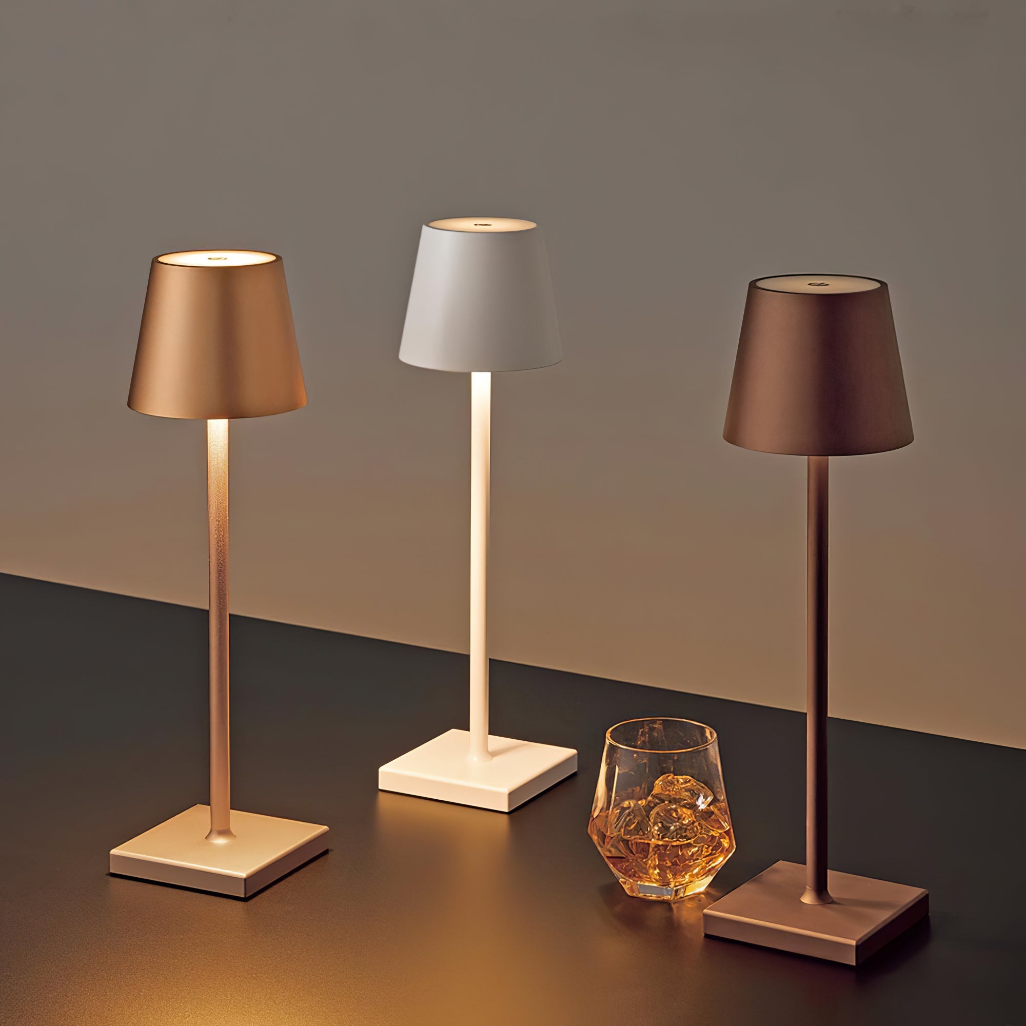 Table Lamp Metal 15 in Portable Indoor Outdoor LED Accent Light Dimmable USB Rechargeable Touch Control | Thomler