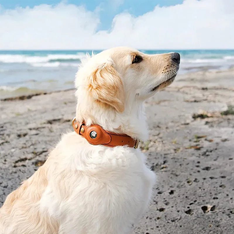 GPS Tracker Dog Collar with Adjustable Microfiber Strap – Waterproof Pet Safety Collar for Daily Walks and Outdoor Adventures | Thomler