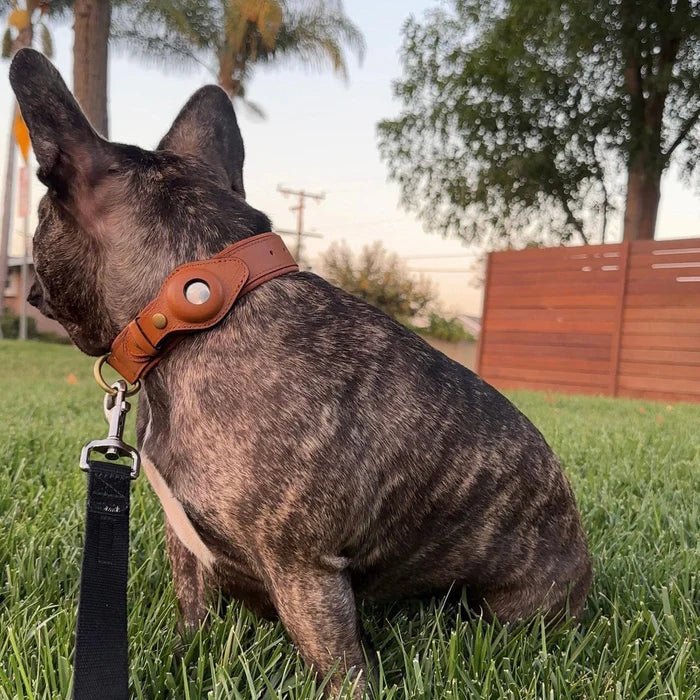 GPS Tracker Dog Collar with Adjustable Microfiber Strap – Waterproof Pet Safety Collar for Daily Walks and Outdoor Adventures | Thomler