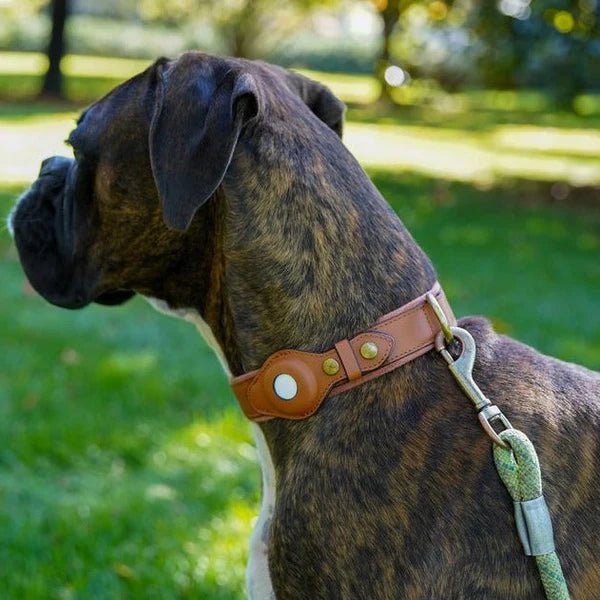 GPS Tracker Dog Collar with Adjustable Microfiber Strap – Waterproof Pet Safety Collar for Daily Walks and Outdoor Adventures | Thomler