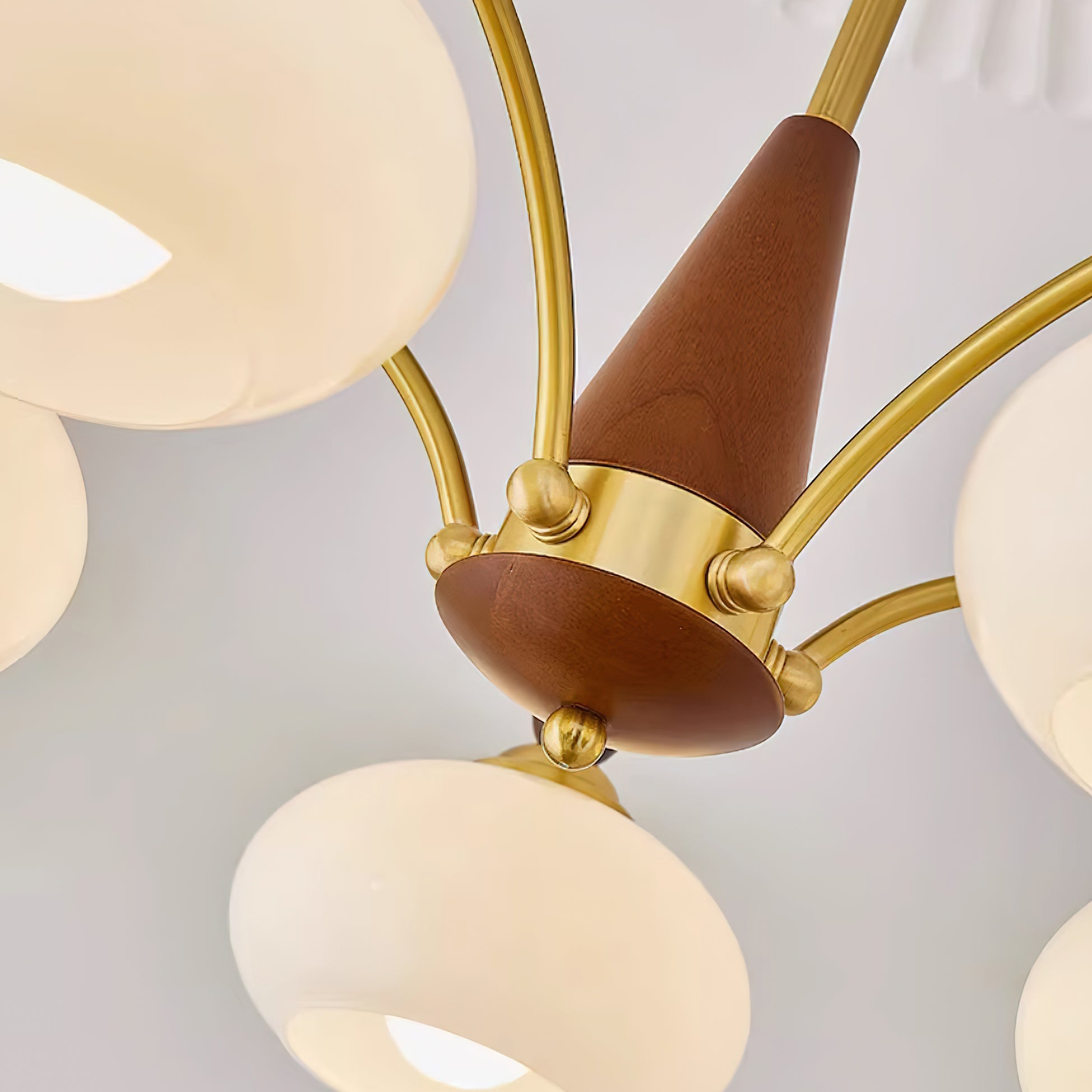 Chandelier Wood Brass 22.8 in 3 5 8 Light Dining Room Vintage Ceiling Fixture Glass Shades Adjustable Rod | Thomler