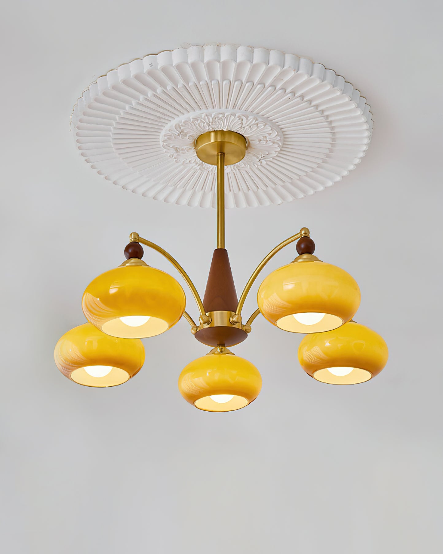 Chandelier Wood Brass 22.8 in 3 5 8 Light Dining Room Vintage Ceiling Fixture Glass Shades Adjustable Rod | Thomler